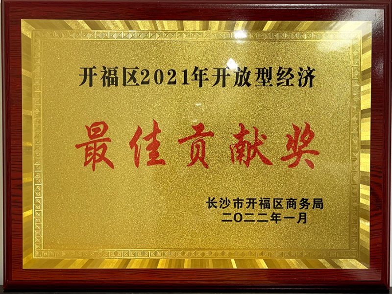 开放型最佳贡献奖.jpg